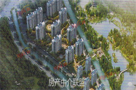 新房！71.5万精装一楼带院子119m2出售